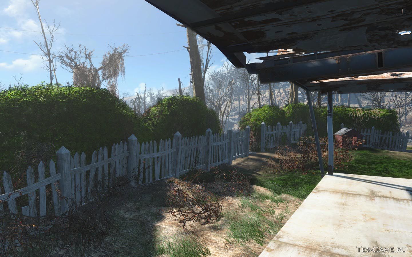 Fallout 4 деревья и трава фото 34